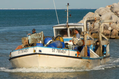 Agrandir l'image 3 sur 5, fenêtre modale