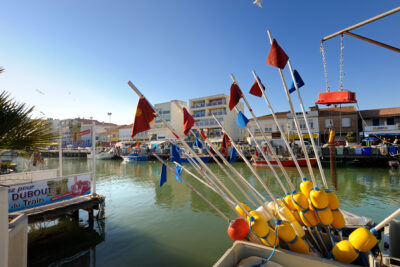 Agrandir l'image 4 sur 5, fenêtre modale