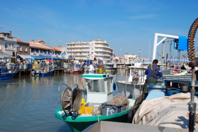 Agrandir l'image 1 sur 5, fenêtre modale