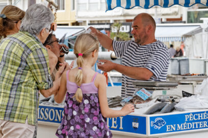Agrandir l'image, fenêtre modale