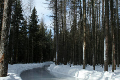 Agrandir l'image 2 sur 3, fenêtre modale