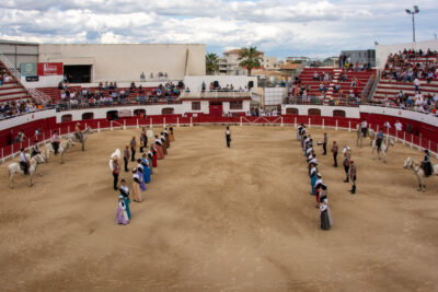 Messe Sevillane - Agrandir l'image 6 sur 15, fenêtre modale