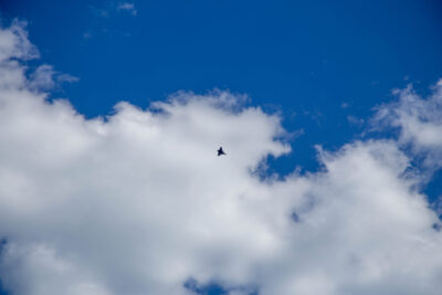 Agrandir l'image 15 sur 39, fenêtre modale