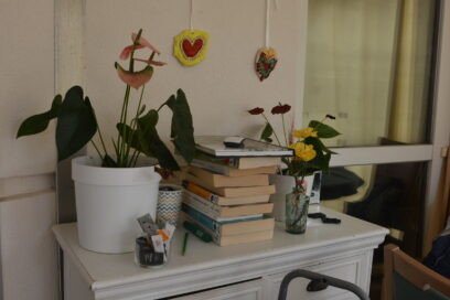 Agrandir l'image, fenêtre modale