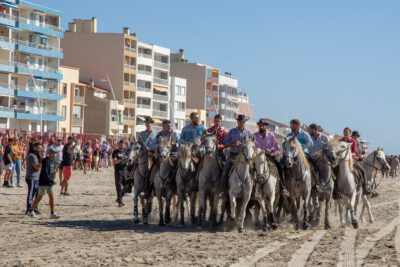 Agrandir l'image 6 sur 8, fenêtre modale