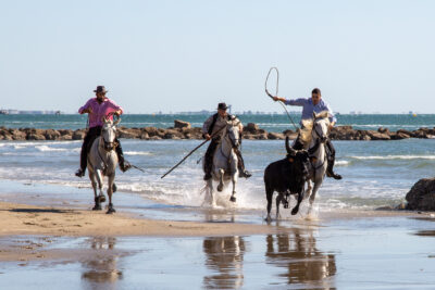 Agrandir l'image 1 sur 8, fenêtre modale
