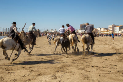 Agrandir l'image 2 sur 8, fenêtre modale