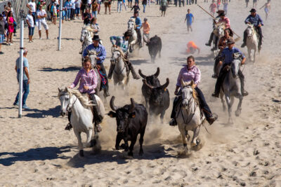 Agrandir l'image 4 sur 8, fenêtre modale