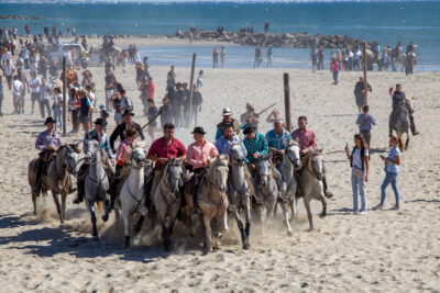 Agrandir l'image 7 sur 8, fenêtre modale