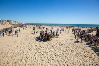 Agrandir l'image 8 sur 8, fenêtre modale