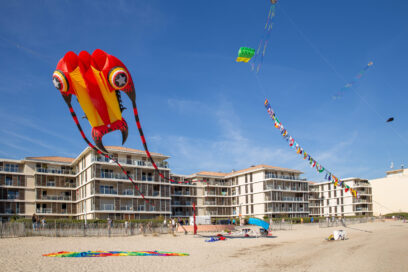 Agrandir l'image, fenêtre modale