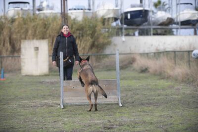 Agrandir l'image 2 sur 4, fenêtre modale