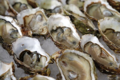 Agrandir l'image 3 sur 7, fenêtre modale