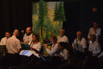 Agrandir l'image, fenêtre modale