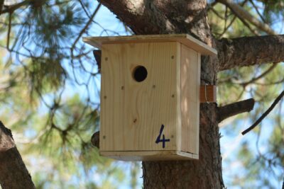 Agrandir l'image 1 sur 4, fenêtre modale