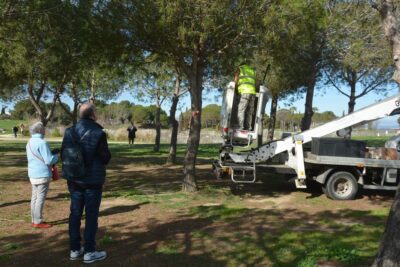 Agrandir l'image 2 sur 4, fenêtre modale