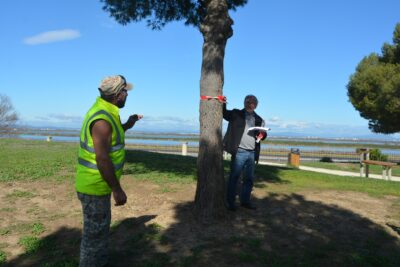 Agrandir l'image 3 sur 4, fenêtre modale