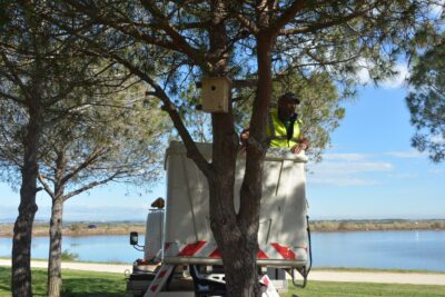 Agrandir l'image 4 sur 4, fenêtre modale