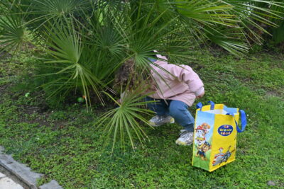 Agrandir l'image 8 sur 34, fenêtre modale