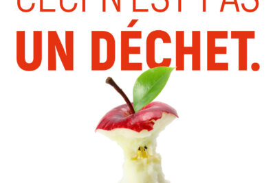 Agrandir l'image 1 sur 3, fenêtre modale