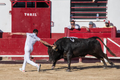 Agrandir l'image 12 sur 50, fenêtre modale