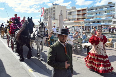 Agrandir l'image 15 sur 50, fenêtre modale