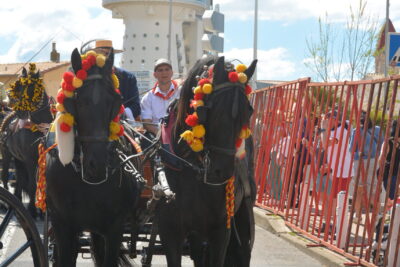 Agrandir l'image 28 sur 50, fenêtre modale
