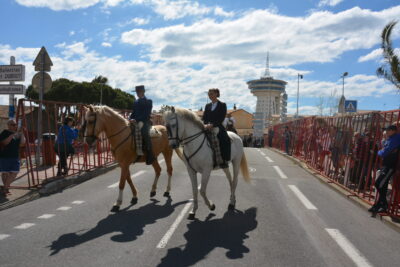 Agrandir l'image 30 sur 50, fenêtre modale