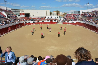 Agrandir l'image 40 sur 50, fenêtre modale