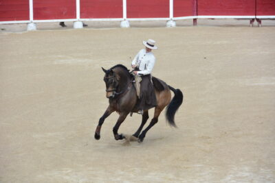 Agrandir l'image 41 sur 50, fenêtre modale