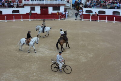 Agrandir l'image 42 sur 50, fenêtre modale