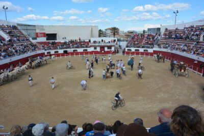 Agrandir l'image 45 sur 50, fenêtre modale