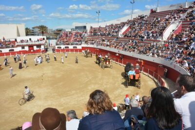 Agrandir l'image 46 sur 50, fenêtre modale