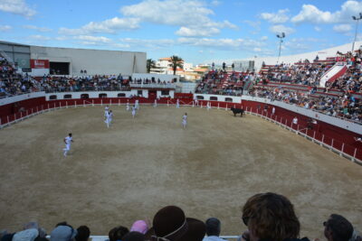 Agrandir l'image 47 sur 50, fenêtre modale