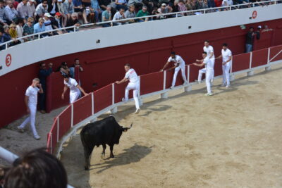 Agrandir l'image 49 sur 50, fenêtre modale