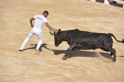 Agrandir l'image 50 sur 50, fenêtre modale