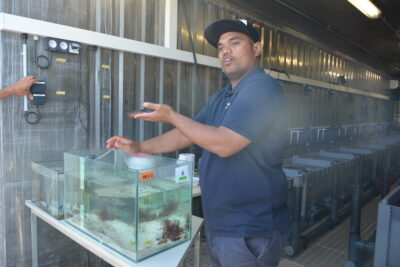 Agrandir l'image 1 sur 13, fenêtre modale