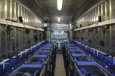 Agrandir l'image 12 sur 13, fenêtre modale