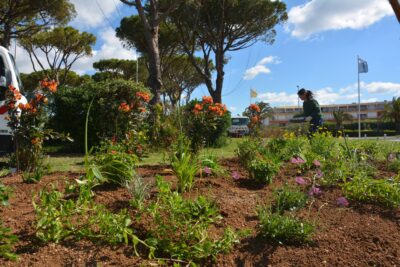 Agrandir l'image 8 sur 15, fenêtre modale