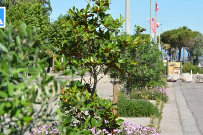 Agrandir l'image 7 sur 15, fenêtre modale