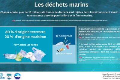 Agrandir l'image 1 sur 8, fenêtre modale