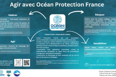 Agrandir l'image 4 sur 8, fenêtre modale