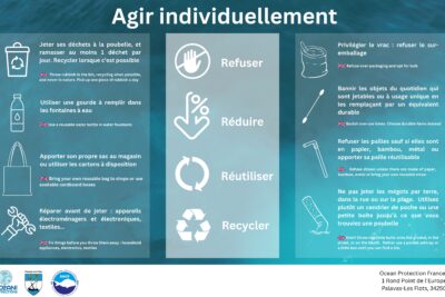 Agrandir l'image 5 sur 8, fenêtre modale