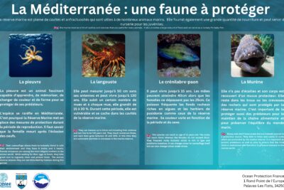 Agrandir l'image 6 sur 8, fenêtre modale