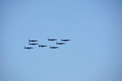 Agrandir l'image 63 sur 90, fenêtre modale