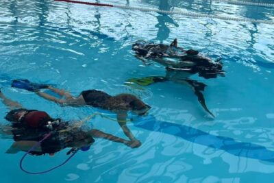 Agrandir l'image 2 sur 2, fenêtre modale