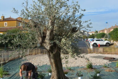 Agrandir l'image 2 sur 4, fenêtre modale