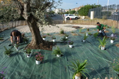 Agrandir l'image 1 sur 4, fenêtre modale