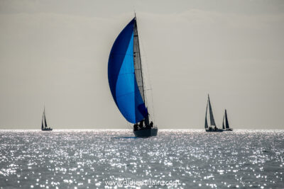 Agrandir l'image 1 sur 2, fenêtre modale