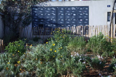 Agrandir l'image 1 sur 3, fenêtre modale